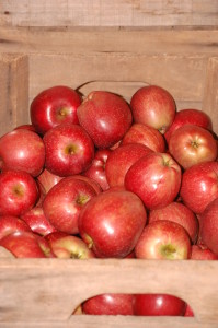 Gala Apples in Crate